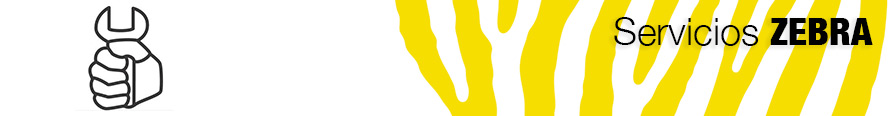 Servicios Servicios